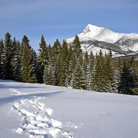Medovka بيت للعطل فيخودنا