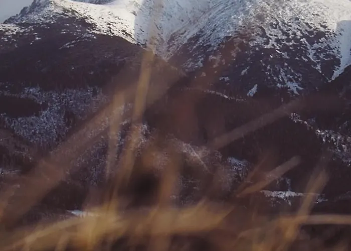 Ferienhaus Medovka Vychodna